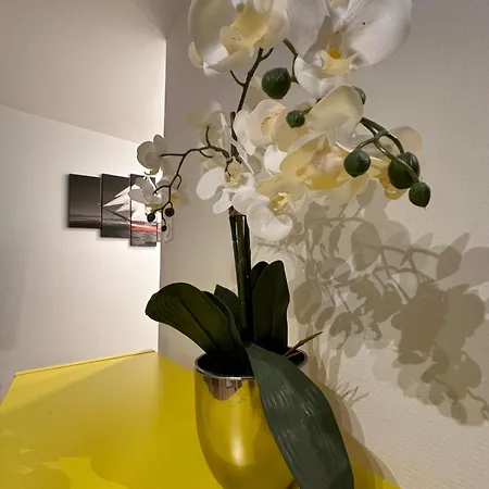 Appartement Calme Et Serenite